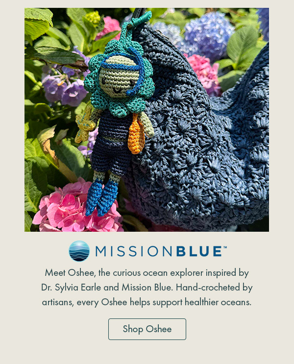 Meet Oshee, the curious ocean explorer inspired by Dr. Sylvia Earle and Mission Blue. Hand-crocheted by artisans, every Oshee helps support healthier oceans.