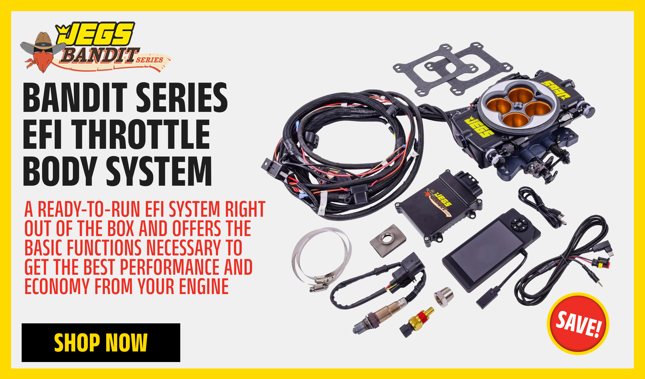 Bandit Series EFI Throttle Body System