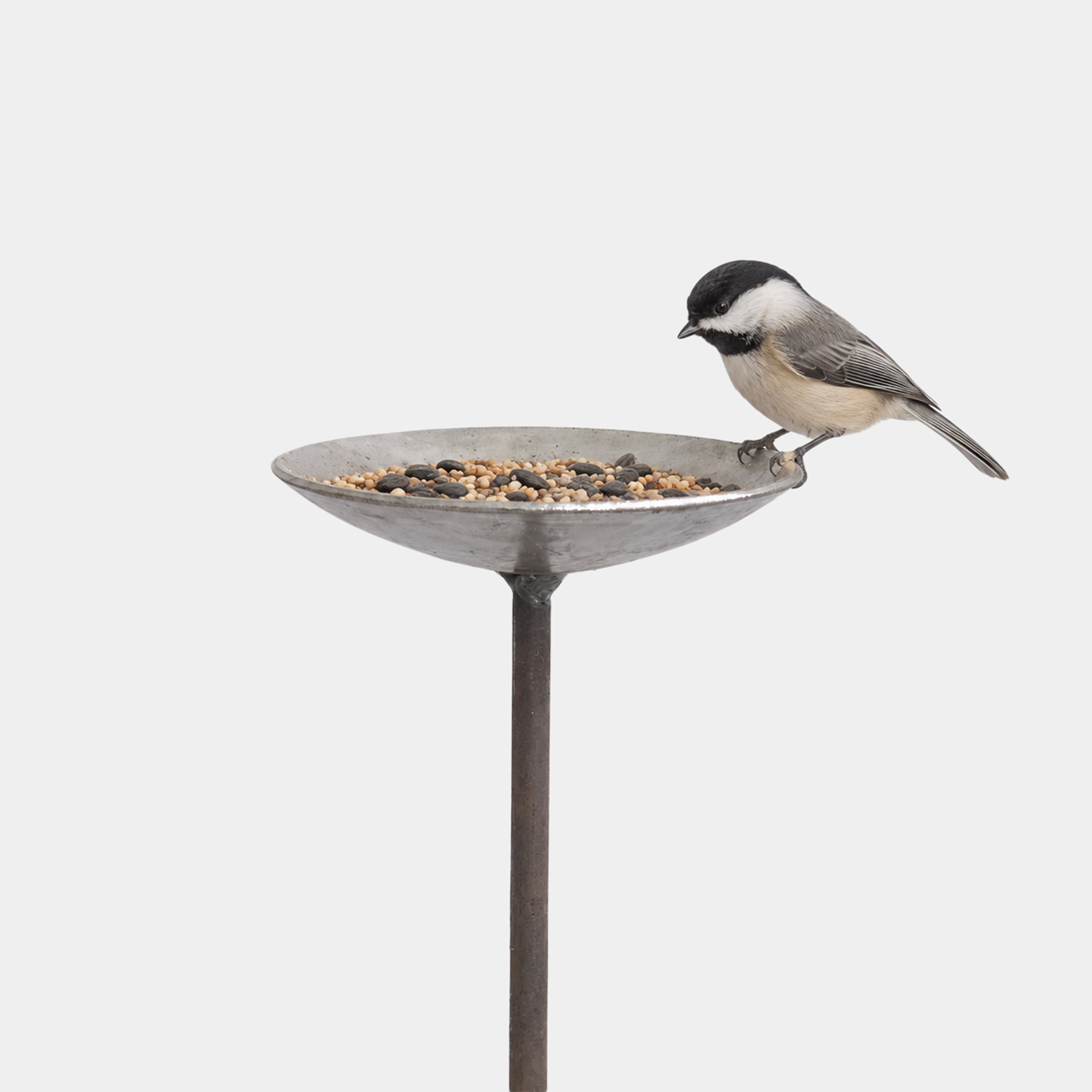Image of English Metal Bird Feeding Platform