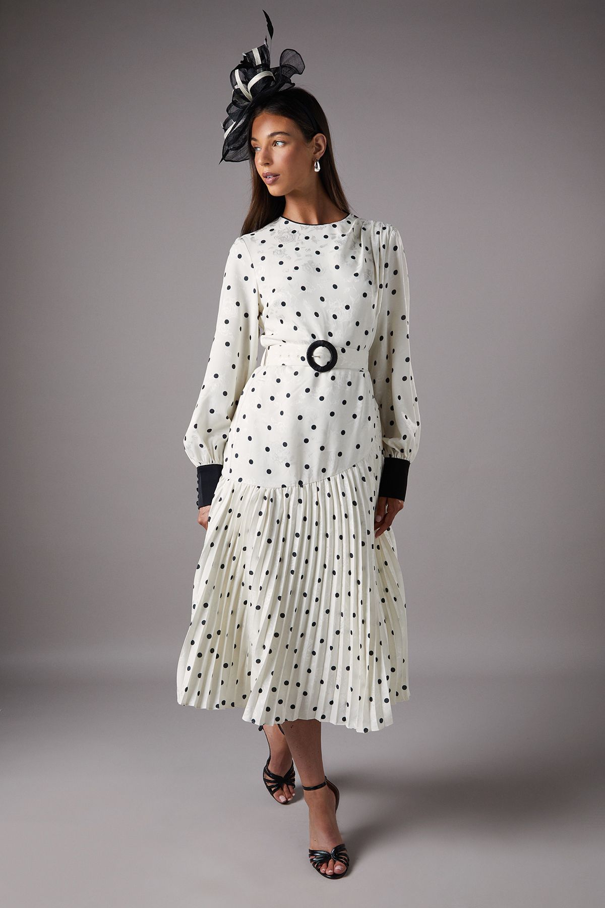 Long Sleeve Spot Pleated Maxi Dress