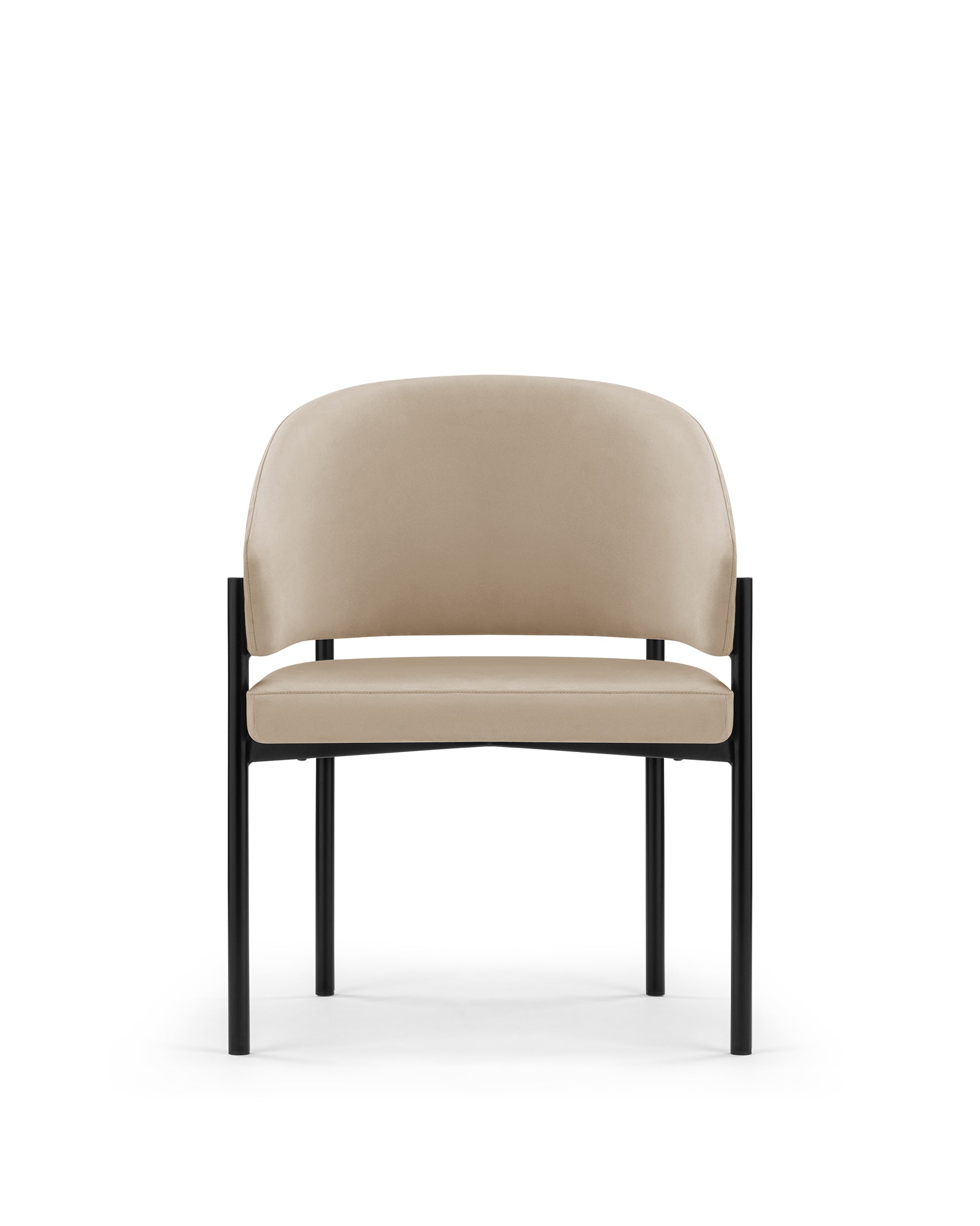 Image of Esme Dining Chair