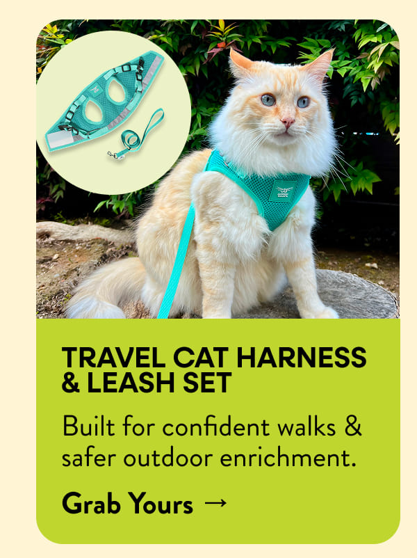 Travel Cat Harness & Leash Set