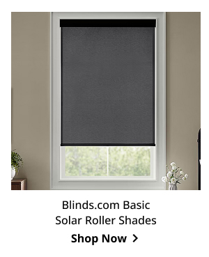 Blinds.com Basic Solar Roller Shades | Shop Now >