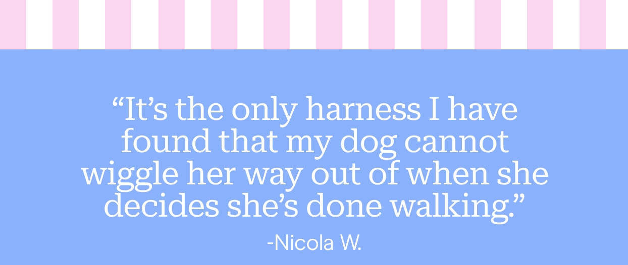 “It’s the only harness I have found that my dog cannot wiggle her way out of when she decides she’s done walking.”