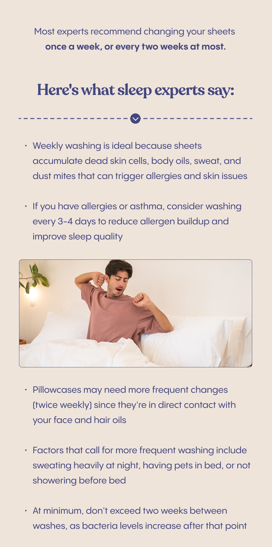 Get 20% off sheets
