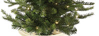 Prelit Grandis Fir Potted Tree