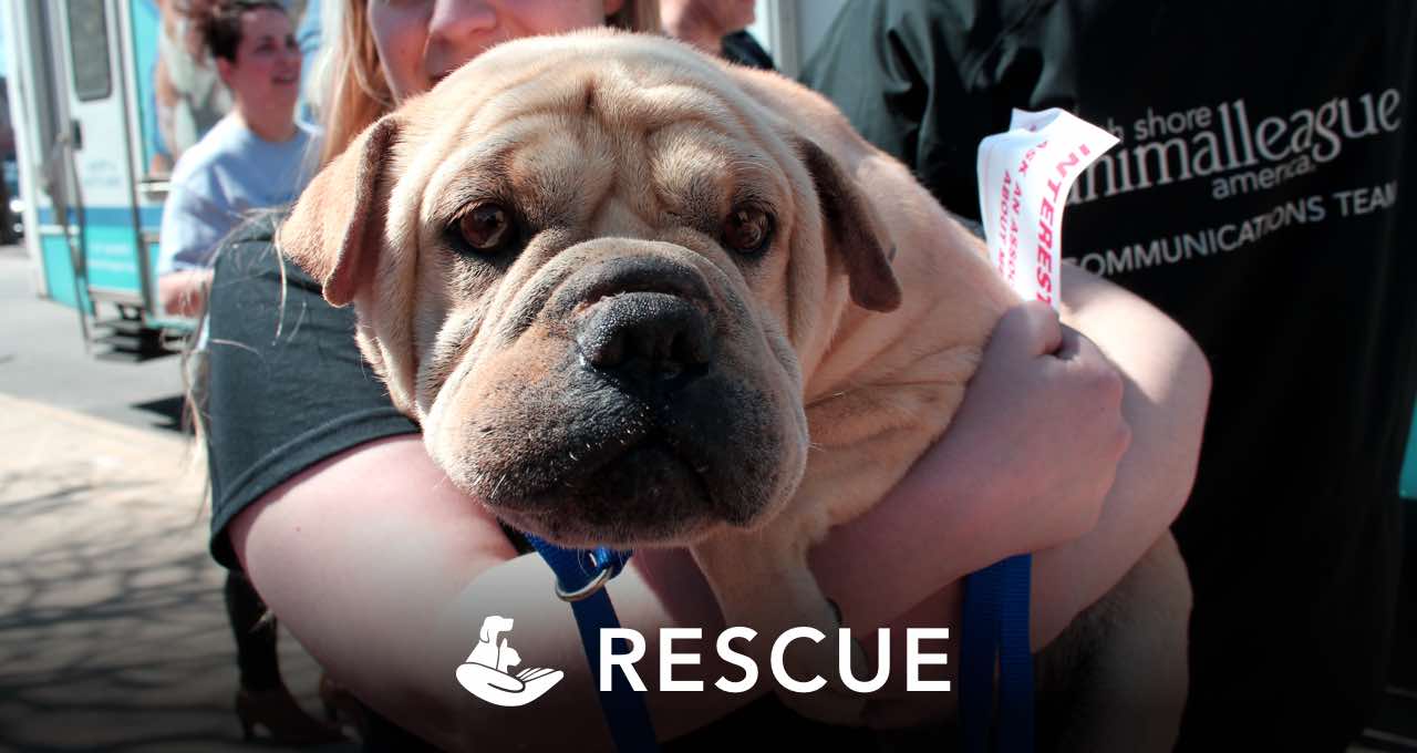 RESCUE