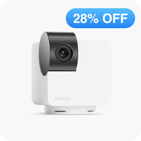 Cam 360