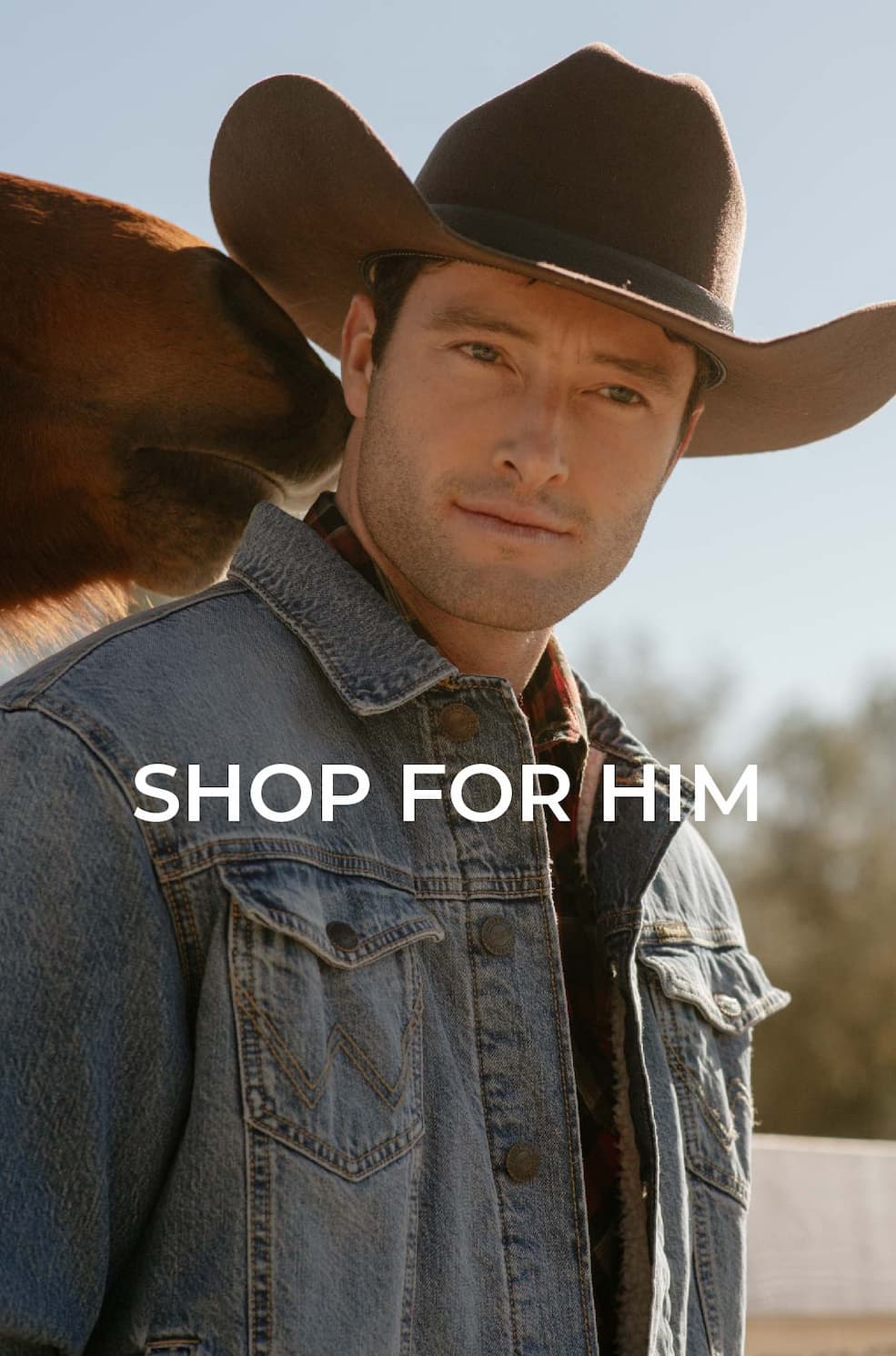 Shop For Him