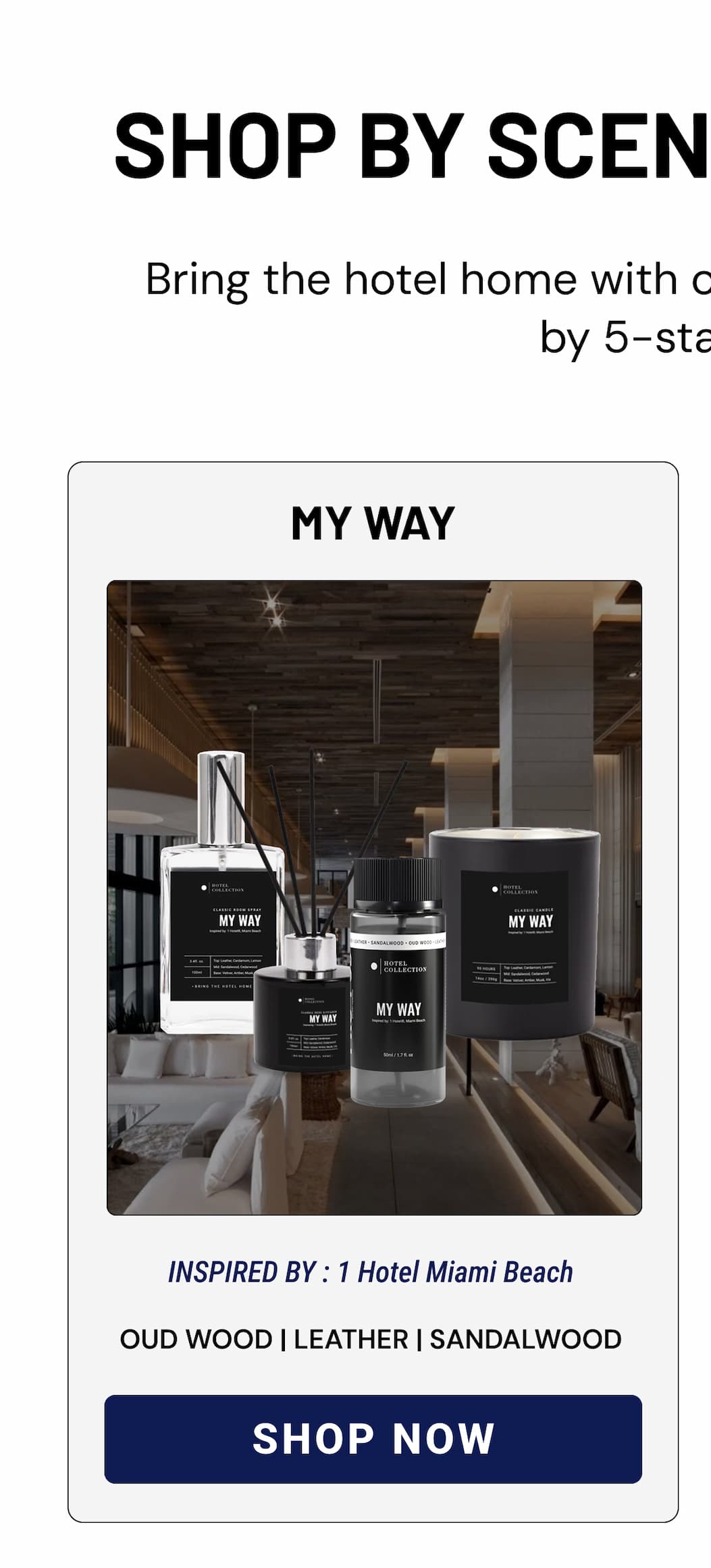 MY WAY | SHOP NOW