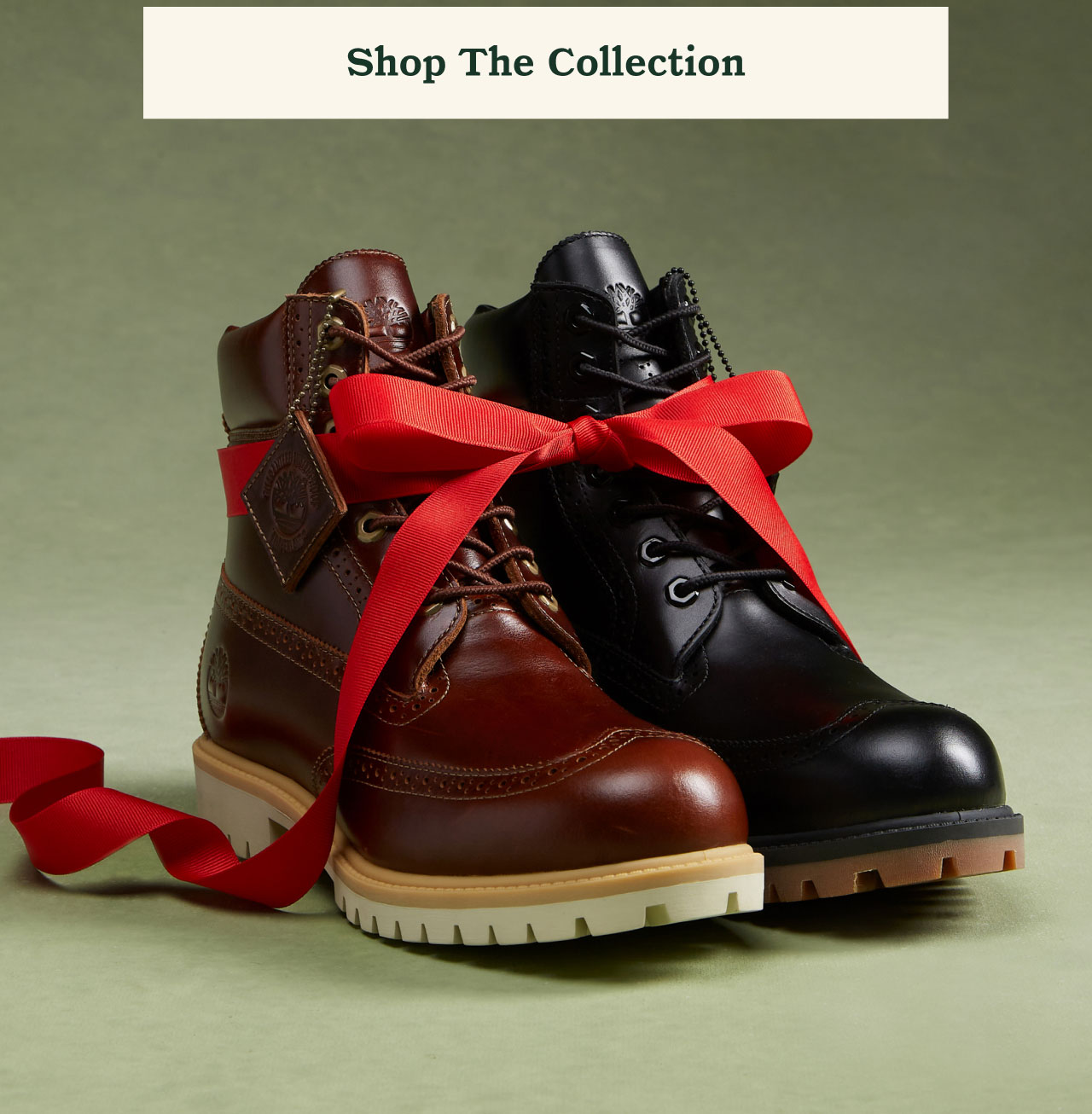 Shop The Collection
