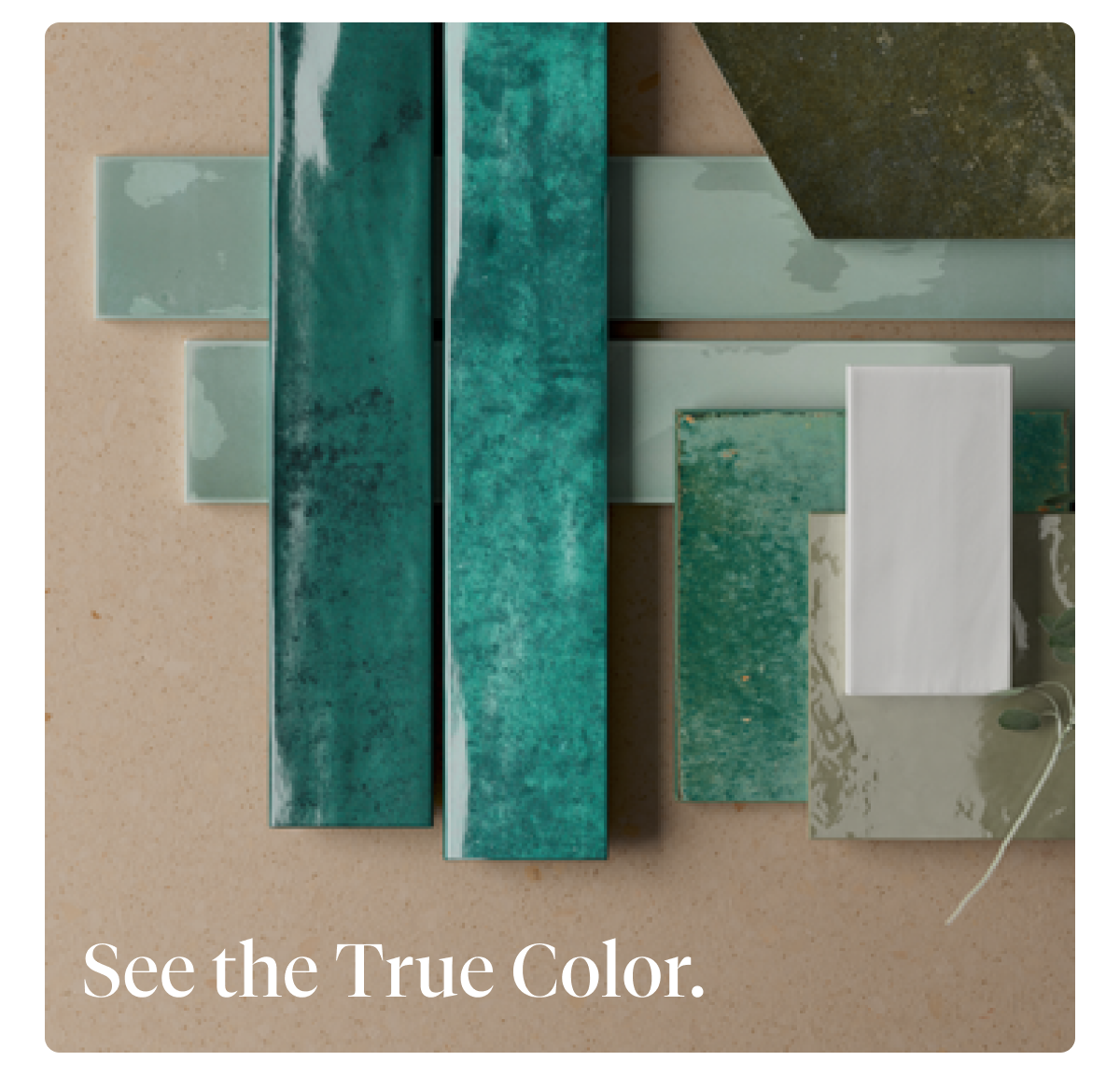 See the True Color.