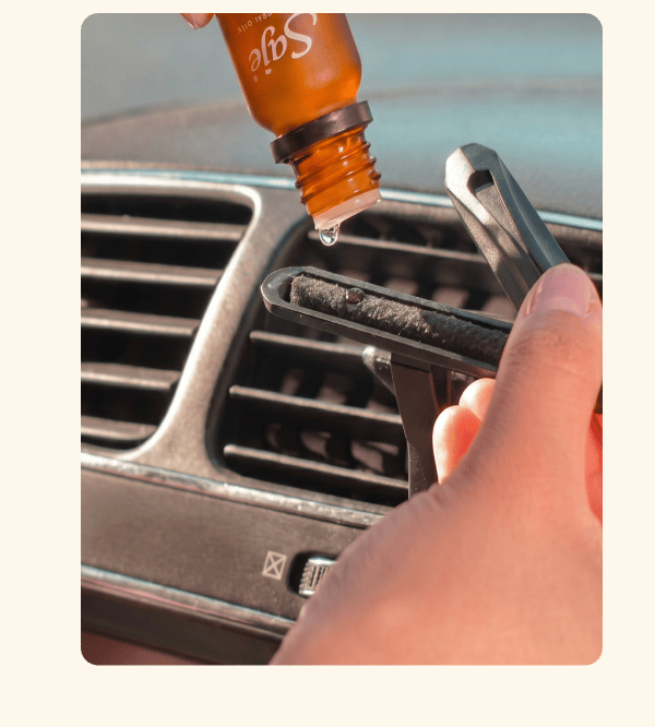No manual needed.
