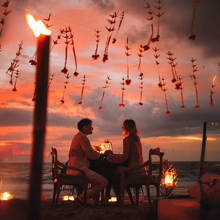 Wildly in Love