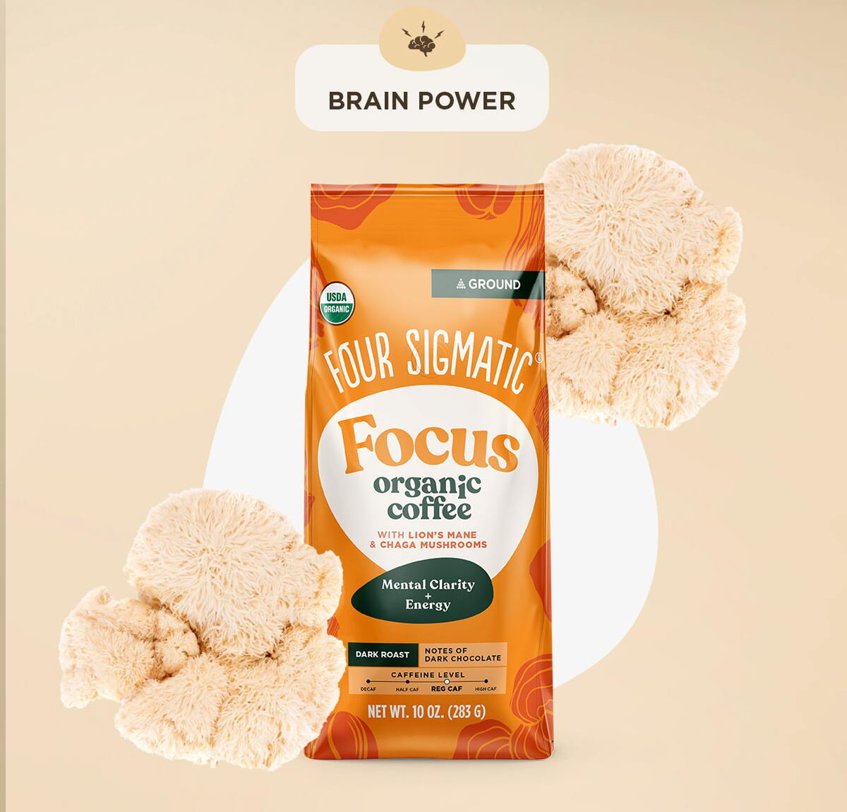Brain Power: Lion's Mane