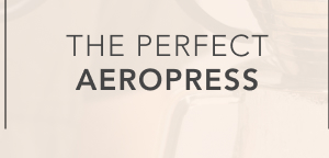 The Perfect AeroPress