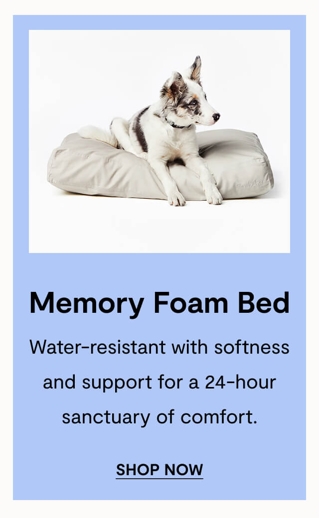 Memory Foam Bed
