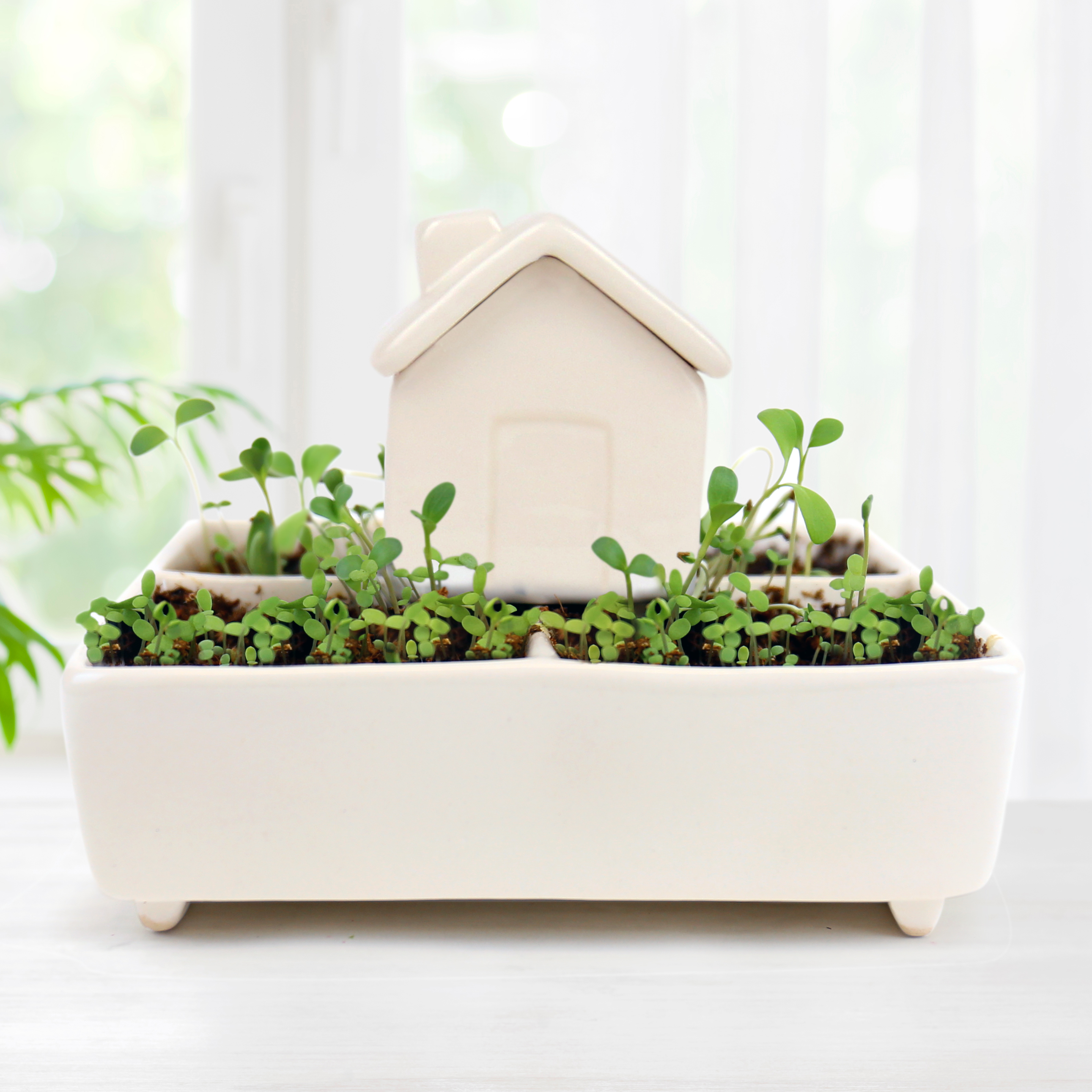 Image of Self-Watering Herb House