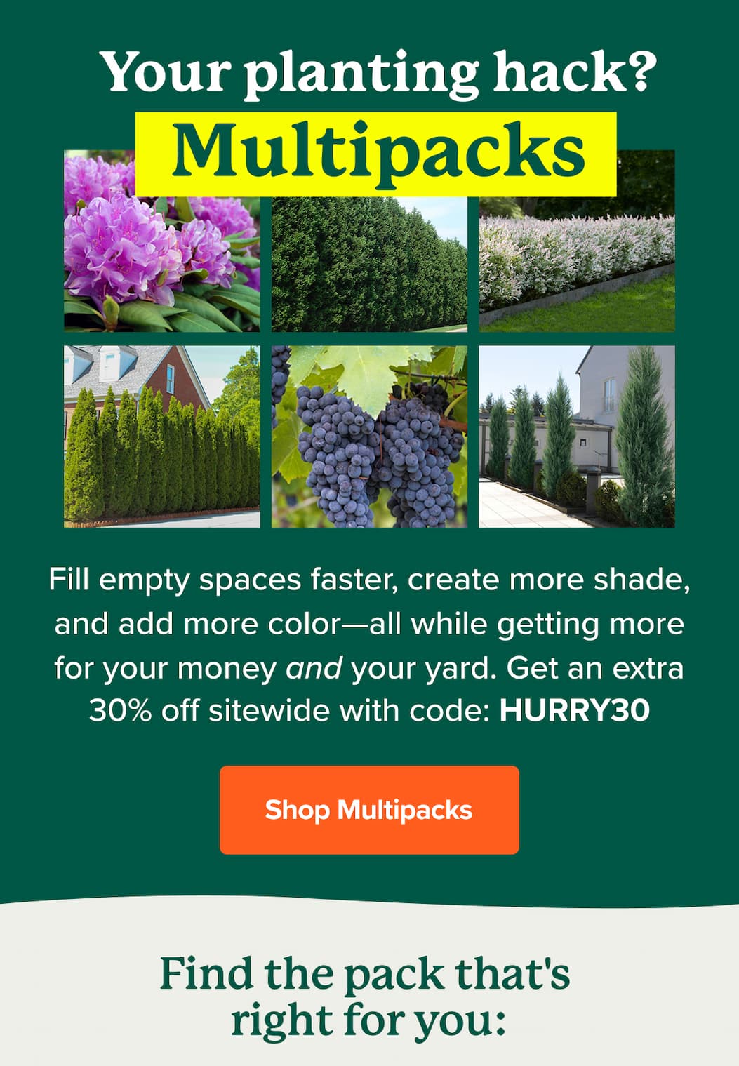 Your planting hack? Multipacks. Fill empty spaces faster, create more shade, and add more color—all while getting more for your money and your yard. Get an extra 30% off sitewide with code: HURRY30. SHOP MULTIPACKS>>