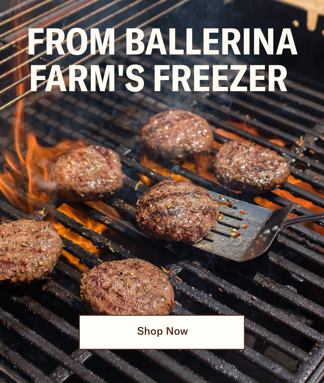 Ballerina Farm | Shop Now