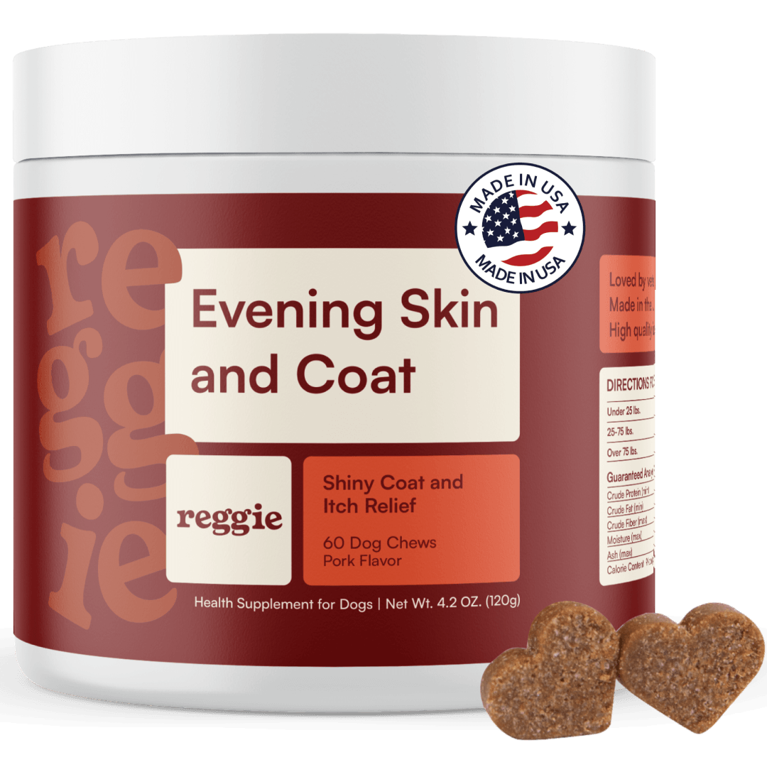 Image of Evening Skin + Coat Chews
