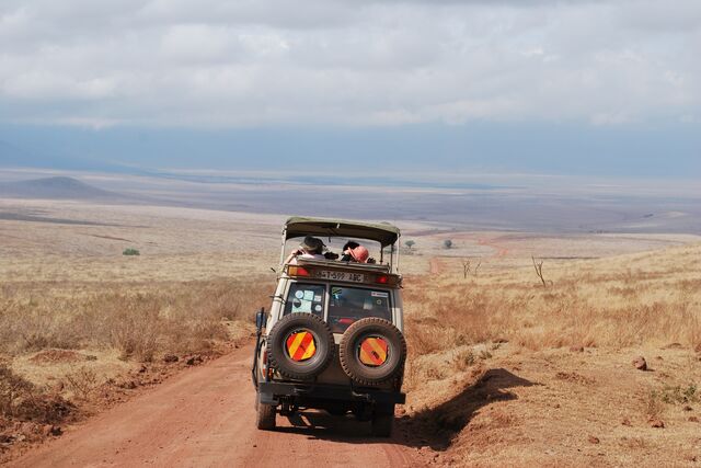 Take in the scenery on a game drive
