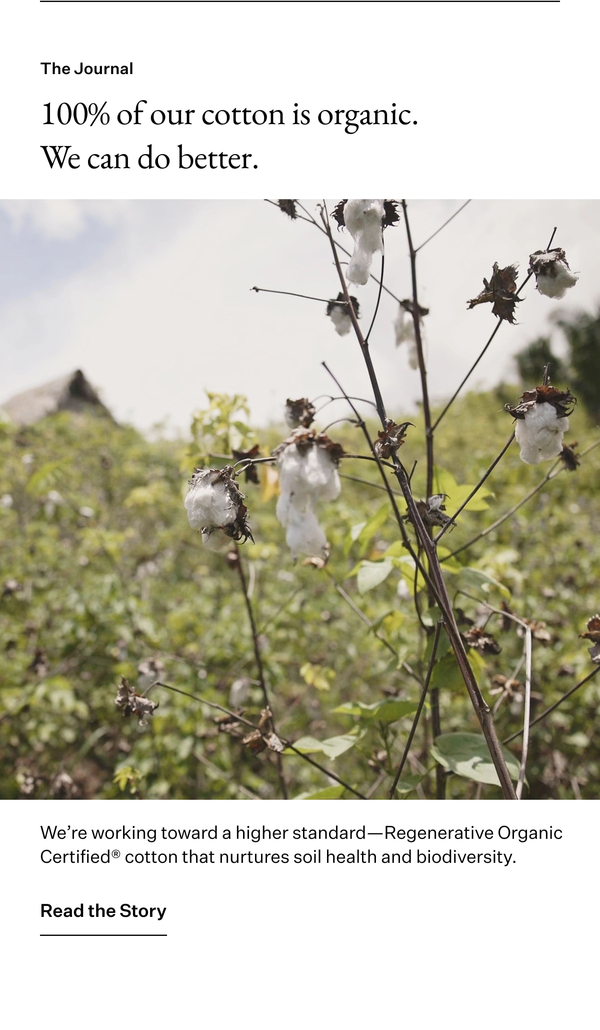 The Journal. 100% of our cotton is organic. We can do better. We're working toward a higher standard-Regenerative Organic Certified cotton that nurtures soil health and biodiversity. Read the Story