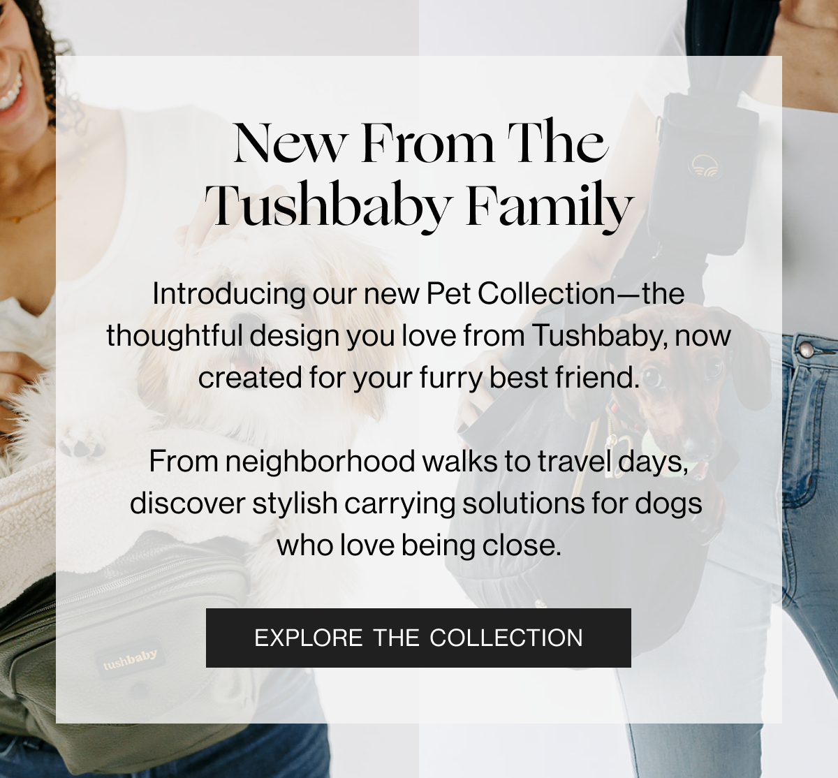 New From the Tushbaby Family - Introducing our new Pet Collection- the thoughtful design you love from Tushbaby, now created for your furry best friend. From neighborhood walks to travel days, discover stylish carrying solutions for dogs who love being close. - Explore the Collection