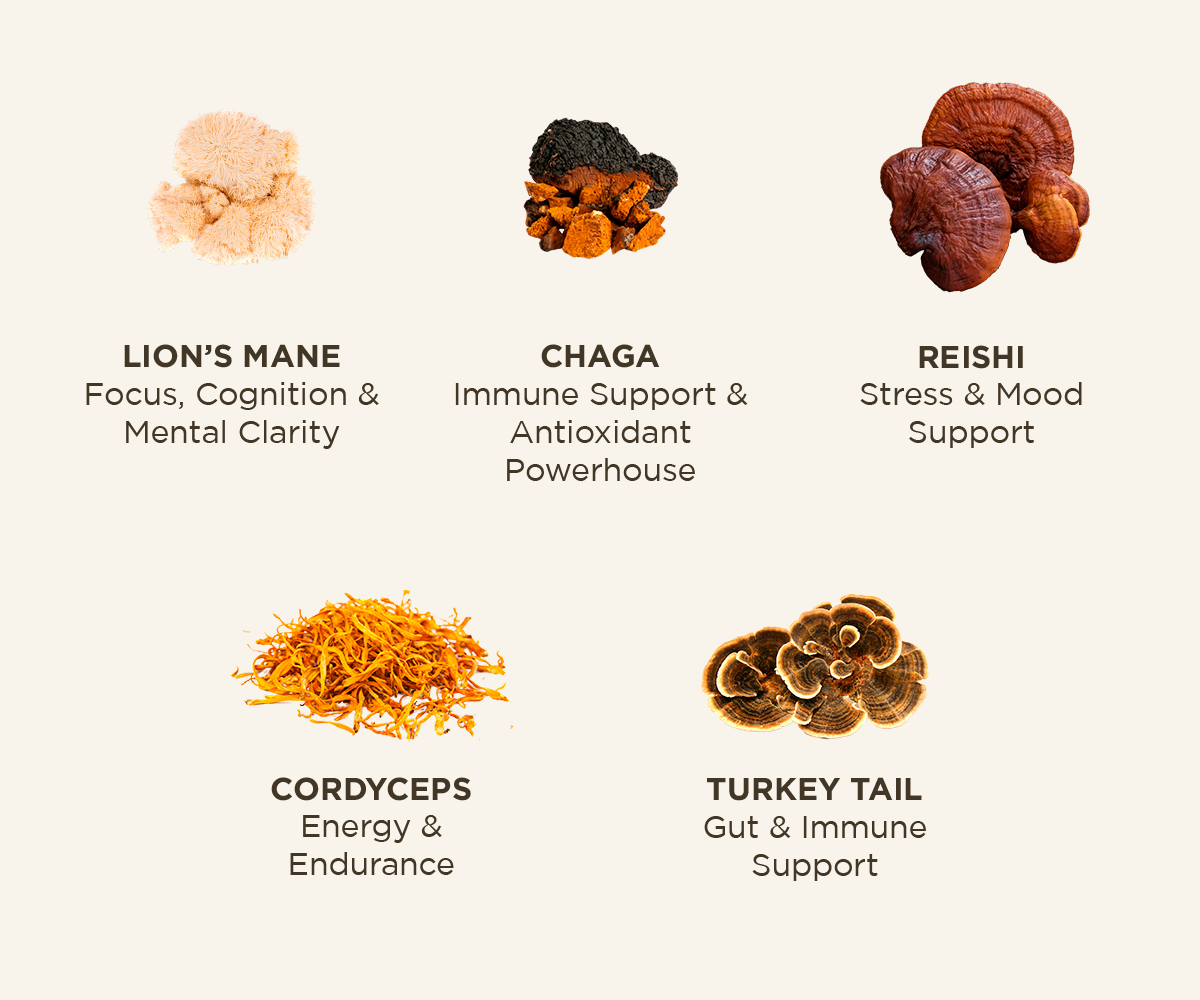 Backed by science, these mushrooms help address daily life stressors