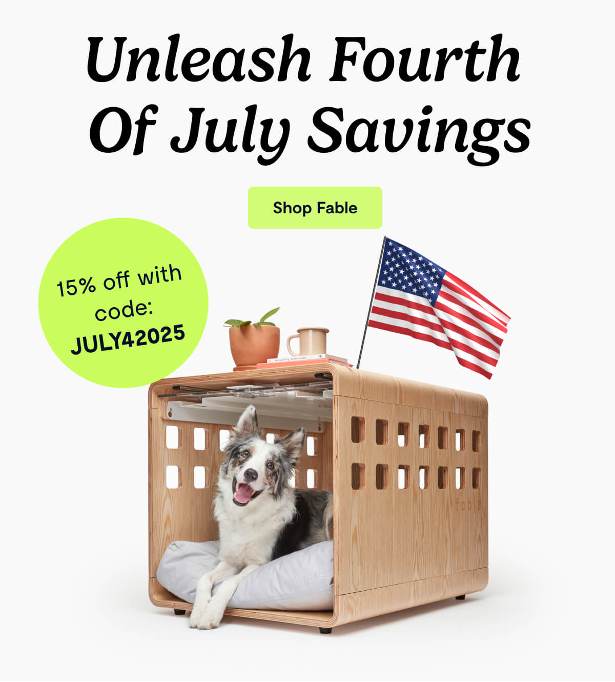 Unleash Fourth of July Savings