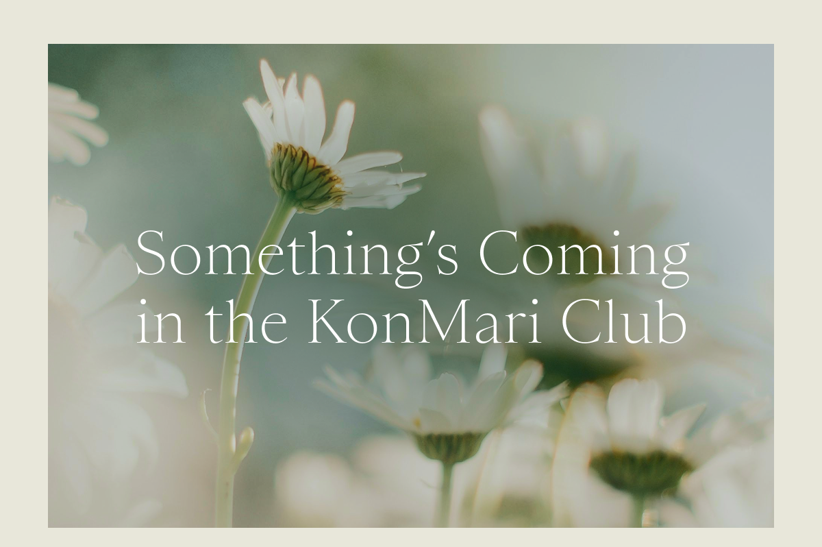 Something’s Coming in the KonMari Club