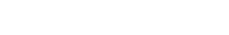 Loop Earplugs