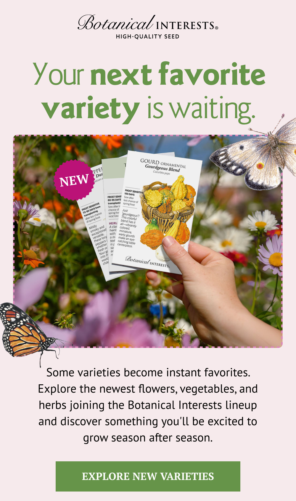 Explore the newest flowers, vegetables, and herbs joining the Botanical Interests lineup and discover something you'll be excited to grow season after season.