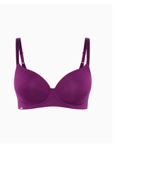 Shop the Smooth & Chic Cotton T-Shirt Bra