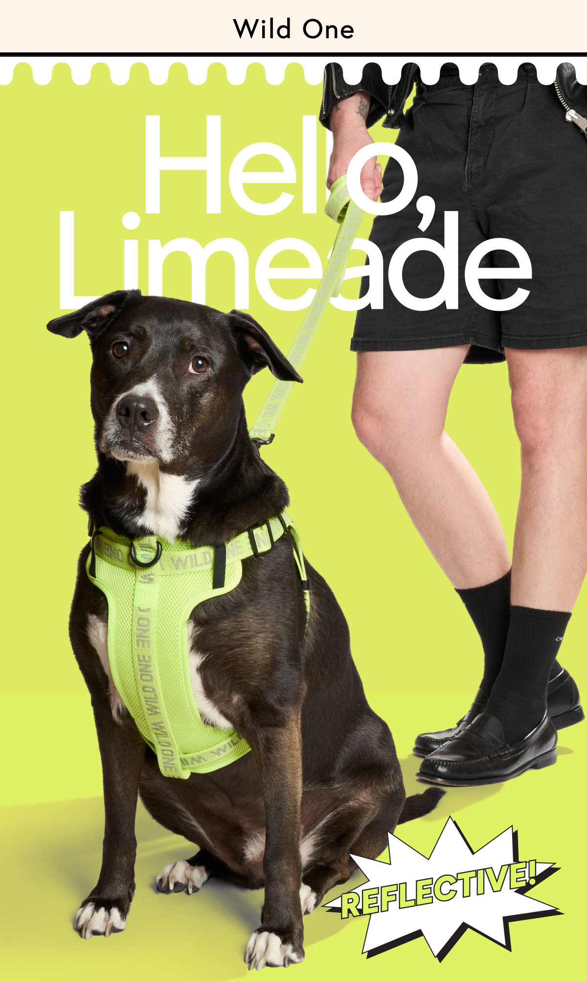Hello, Limeade