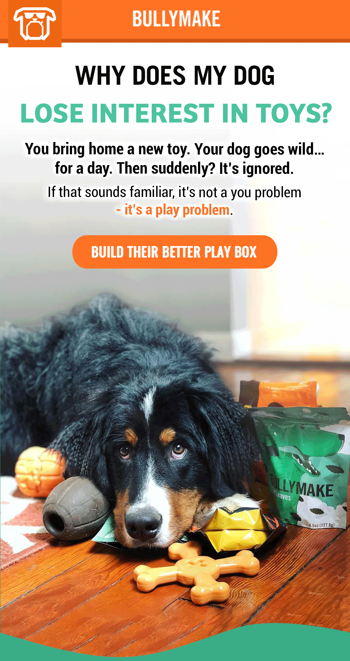 Bullymake Dog Toy Subscription Box