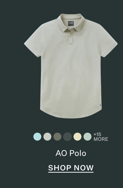 AO Polo