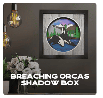 Breaching Orcas Shadow Box