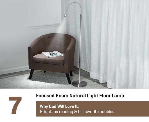 Focused Beam Natural Light Floor Lamp