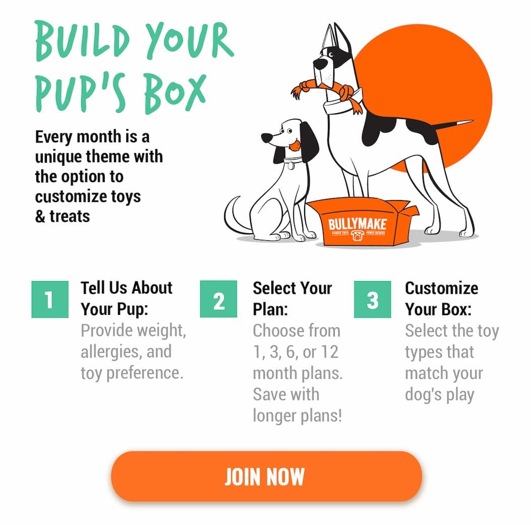 Bullymake Dog Toy Subscription Box