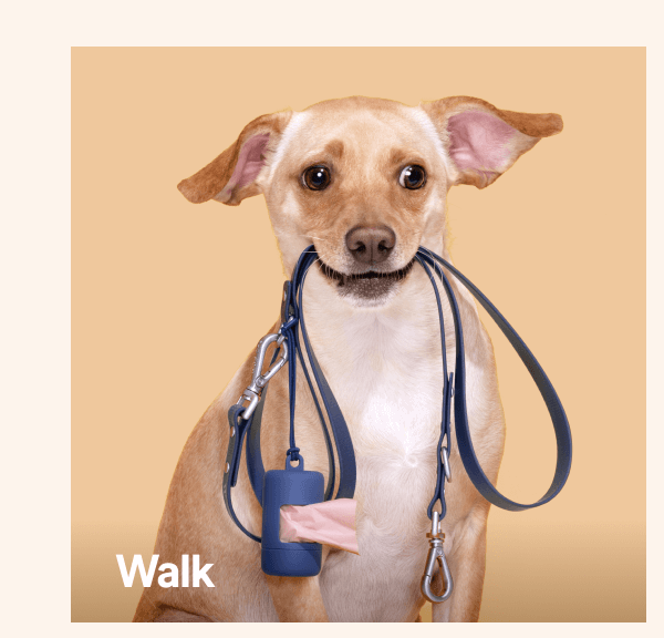 Shop Walk