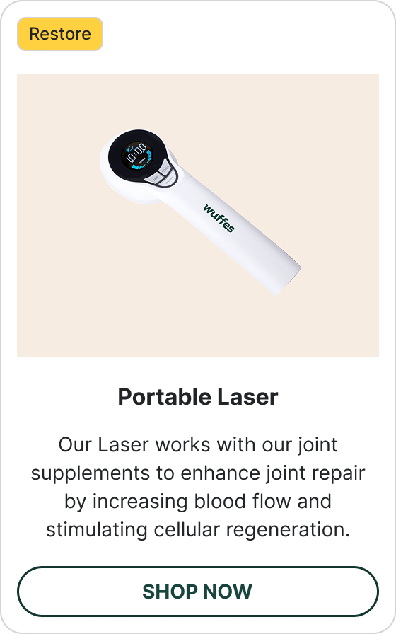 Shop Portable Laser Therapy