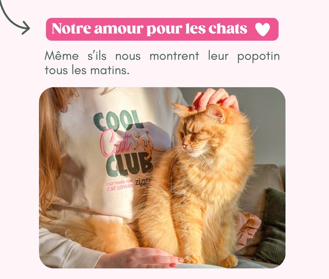 Notre amour pour nos chats