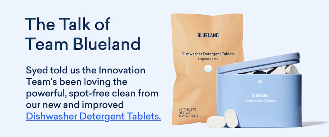 The Talk of Team Blueland: Our Dishwasher Detergent Tablets