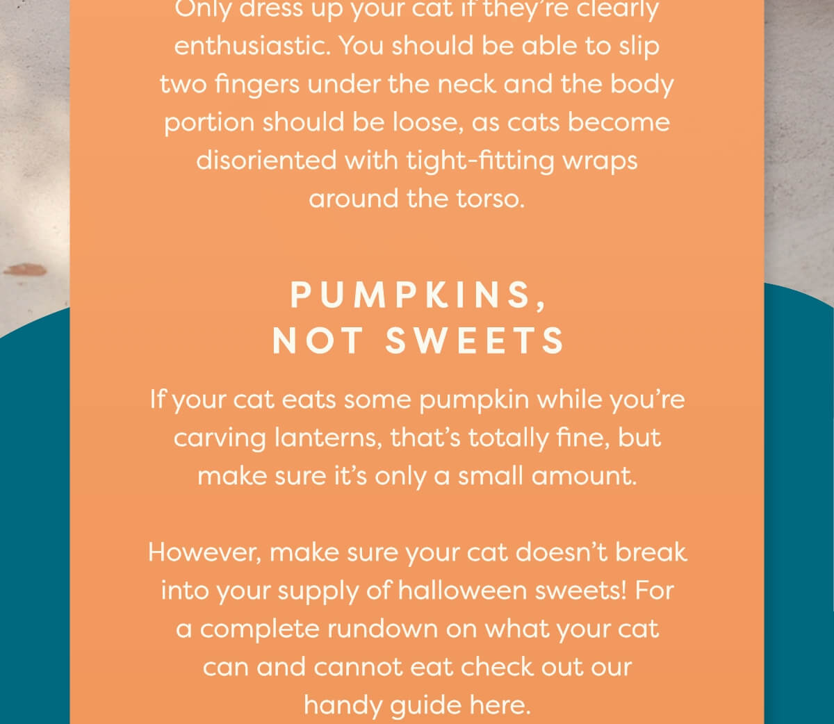 Pumpkins, not sweets