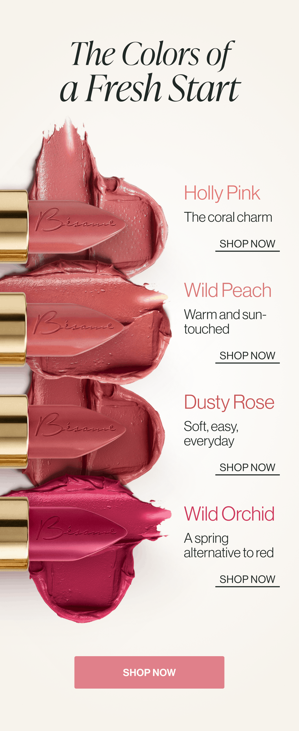 SHOP NOW