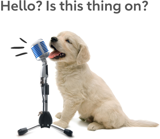 Hello? Is this thing on?