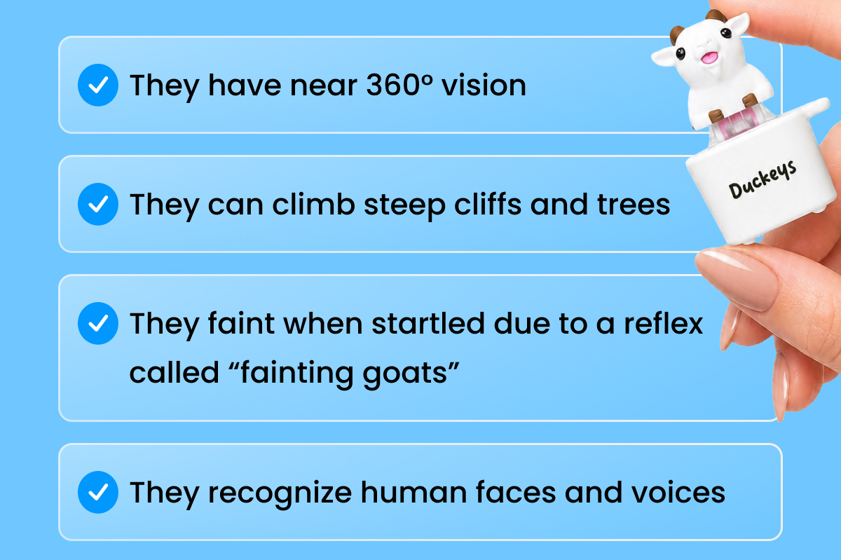 Goats are built different.