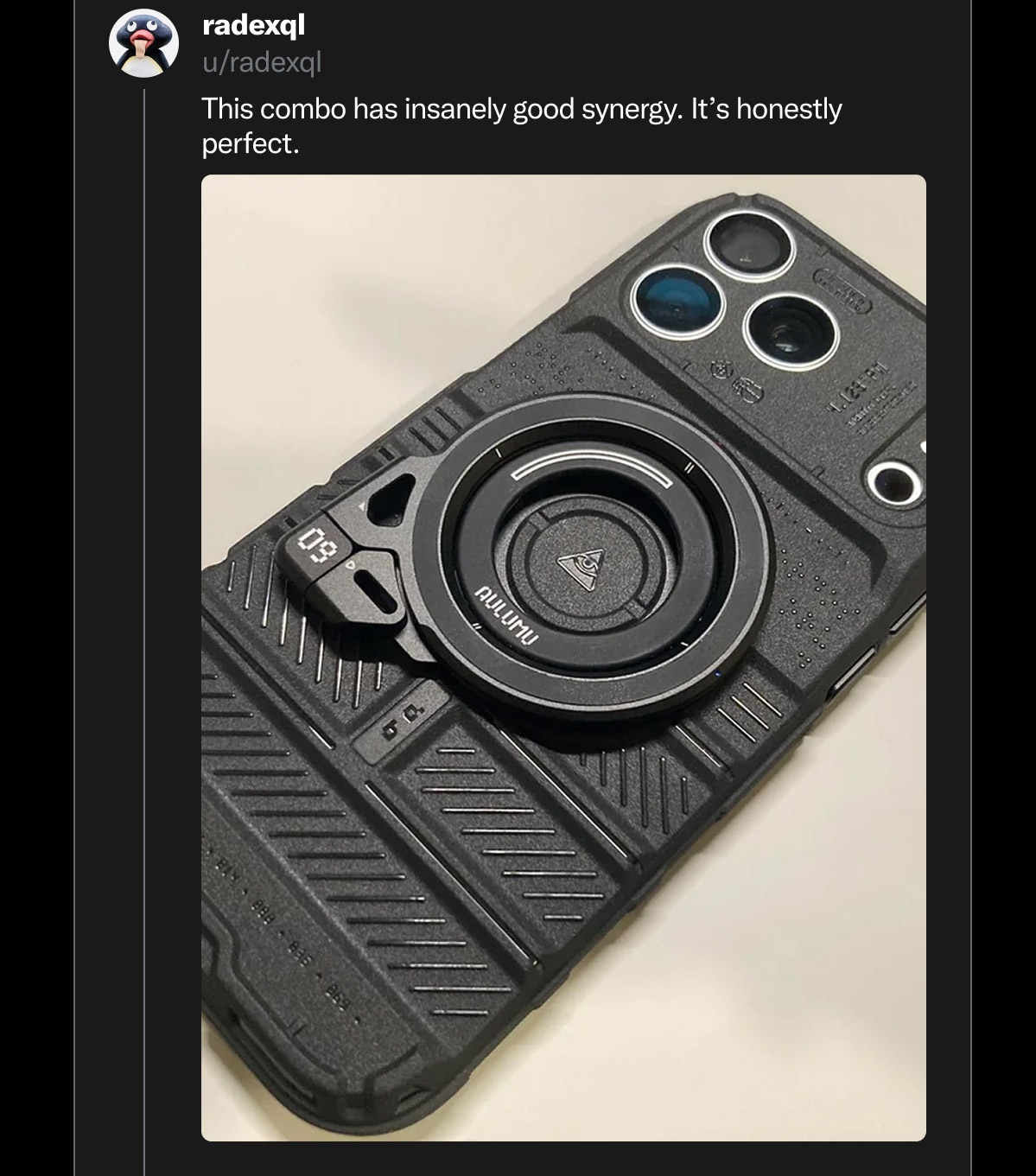 u/radexql on Reddit: "This combo has insanely good synergy. It's honestly perfect."