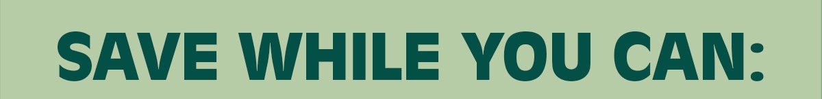 Save While You Can! 